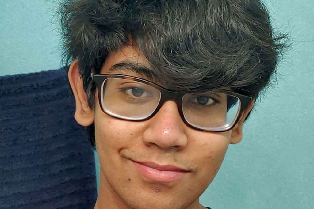 Two brothers kill four family members before turning gun on themselves, cops&nbsp;say