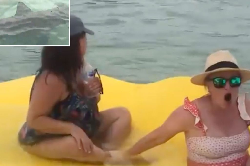 Sharks circle women on a floatie at Florida&nbsp;beach
