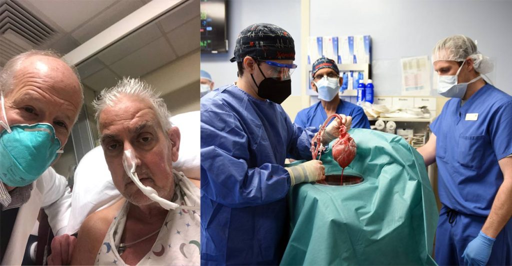 In 1st, US surgeons transplant pig heart into human&nbsp;patient￼