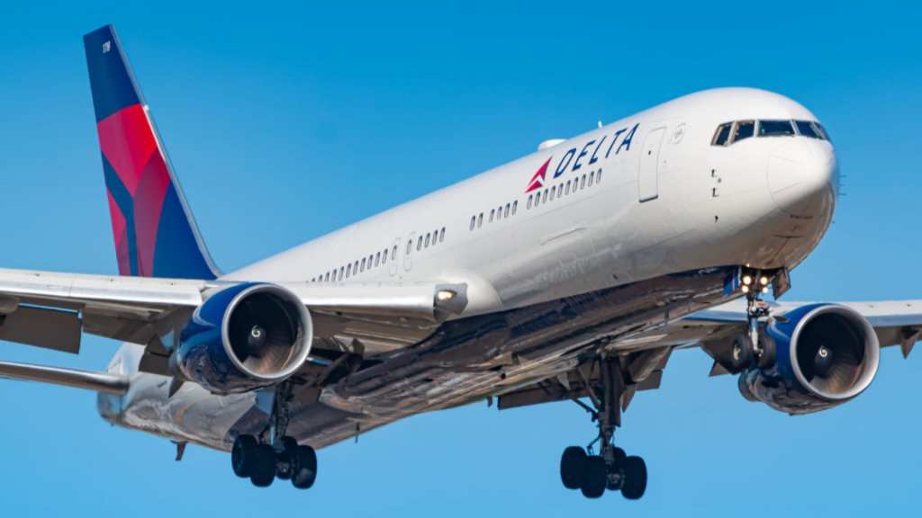 Delta passenger allegedly assaulted, hurled slurs at flight&nbsp;attendant￼