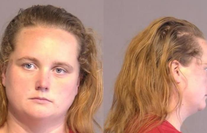 Arizona woman accused of sexual abuse of two teen&nbsp;boys￼