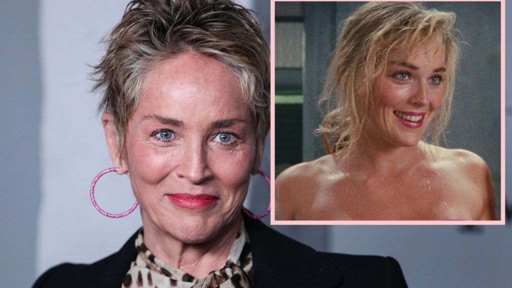 Sharon Stone poses nude at 64: I’m ‘gratefully&nbsp;imperfect’￼