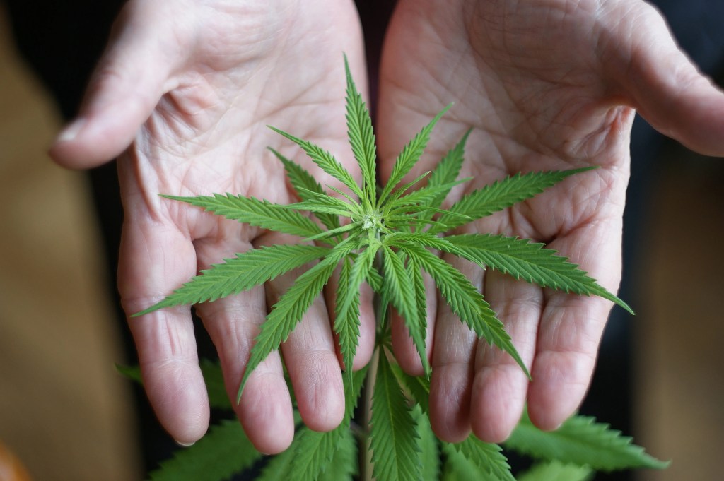 A surprising demographic is experimenting with weed more than any&nbsp;others