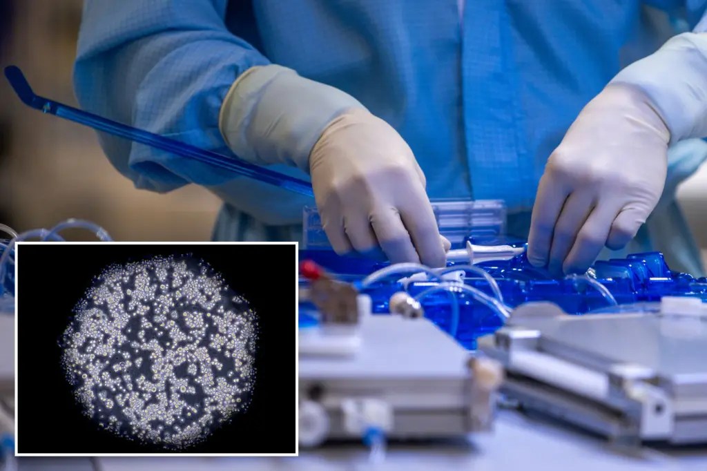 Newly found ‘kill switch’ triggers death of cancer cells in potential&nbsp;breakthrough