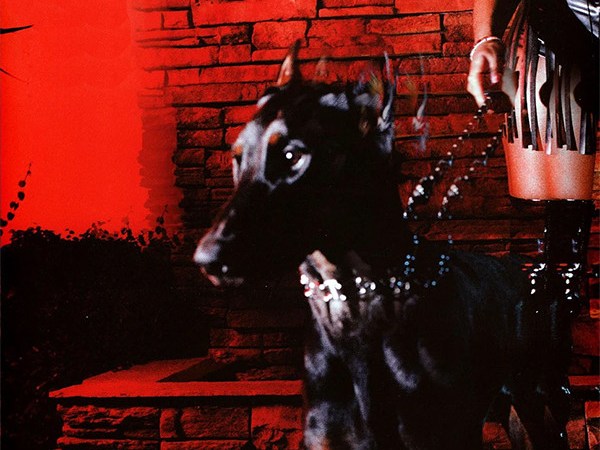 “🔥 HISTORY MADE! Leon Thomas just took home the Grammy for Best R&B Album at the 2026 Grammys for his incredible project MUTT! 🏆✨ 