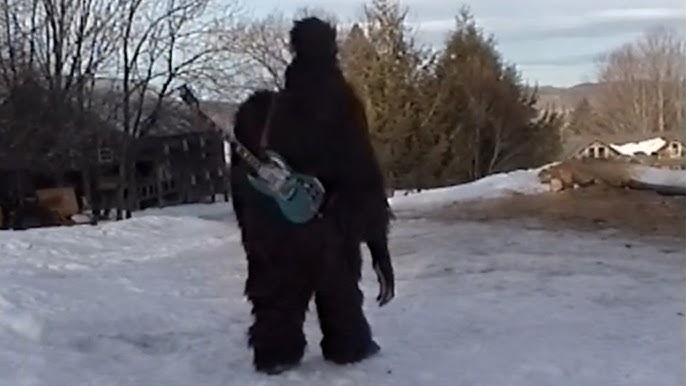 King Tuff – Stairway To Nowhere