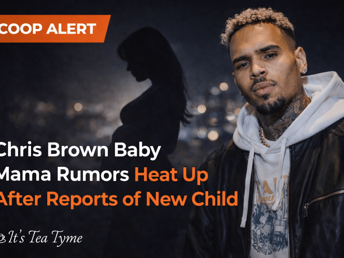 🚨 Chris Brown Baby Mama Rumors Stir the Internet&nbsp;Again