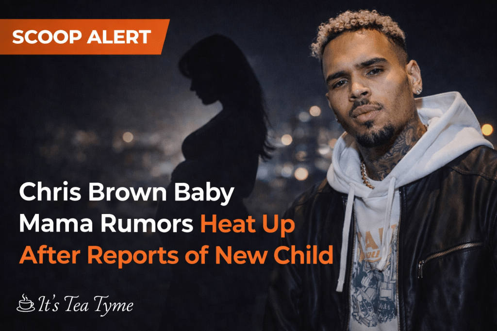 🚨 Chris Brown Baby Mama Rumors Stir the Internet&nbsp;Again